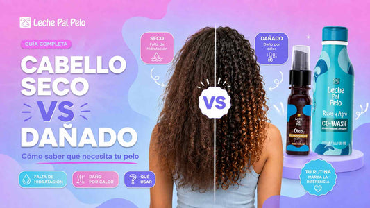 Comparación de cabello seco y cabello dañado con puntas y textura visibles